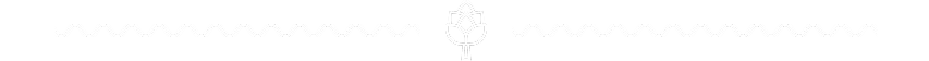 Frame 38562 (3).png